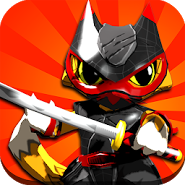 Ninja Kitty