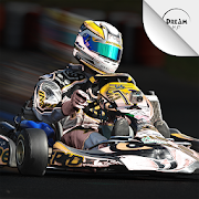 Kart Racing Ultimate (Много денег)
