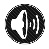 AudioManager Pro